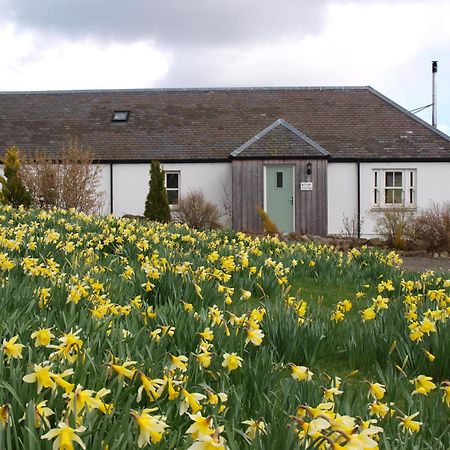 Dalnoid Cottages & Treehouses Nr Glenshee Exterior photo