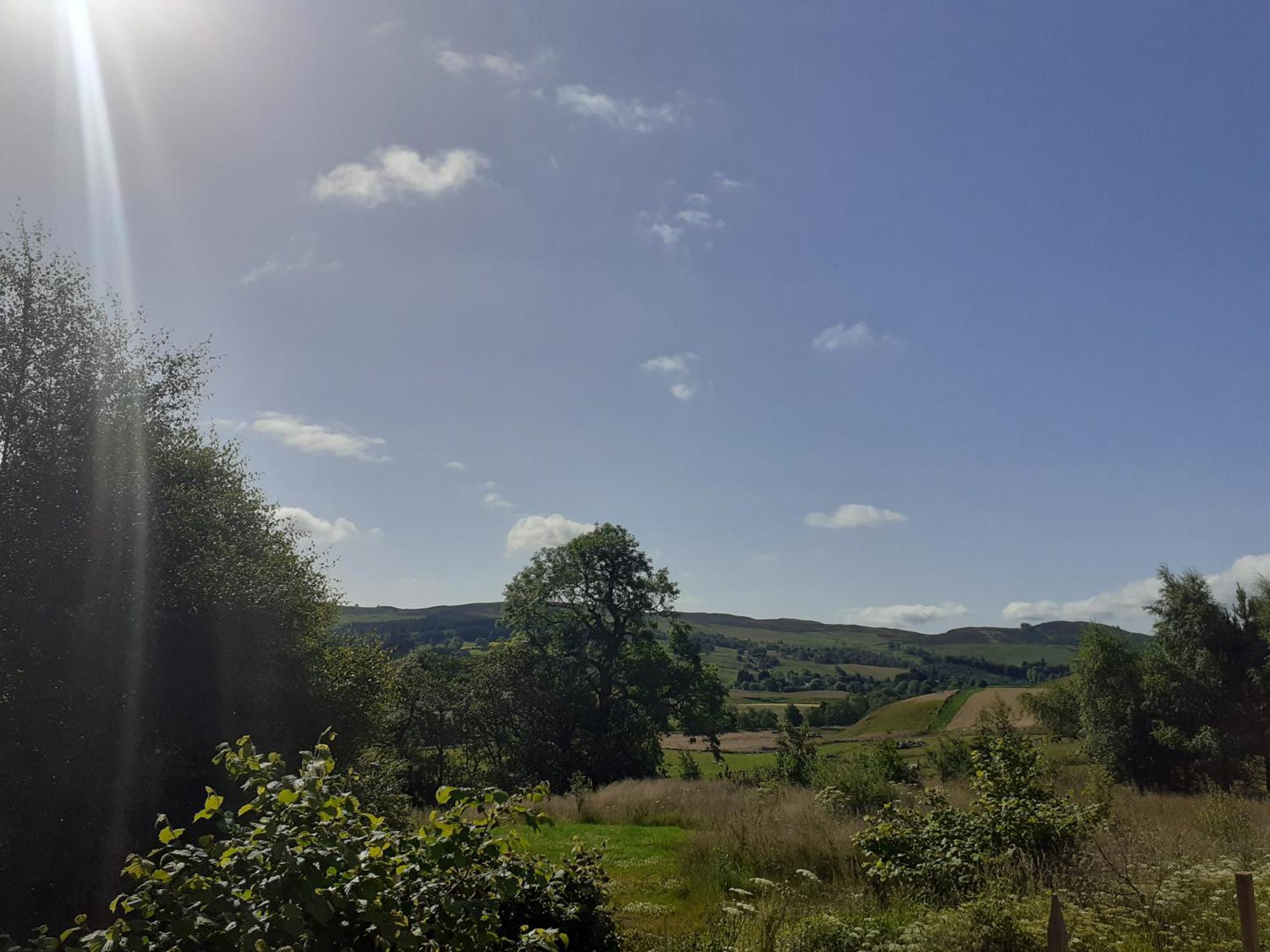 Dalnoid Cottages & Treehouses Nr Glenshee Exterior photo